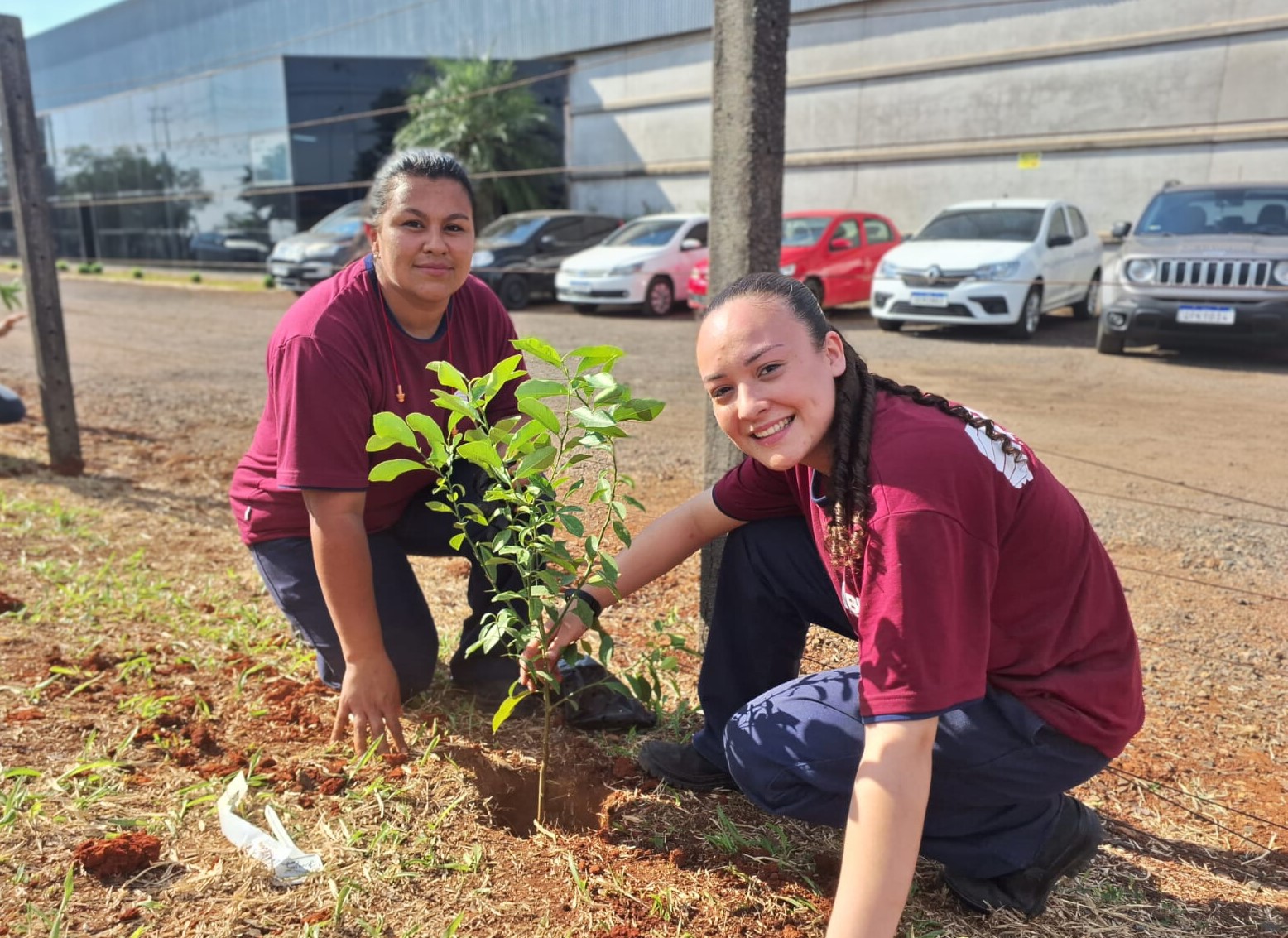 DIA DA ÁRVORE É MARCADO POR PLANTIO DE MUDAS NA BR7